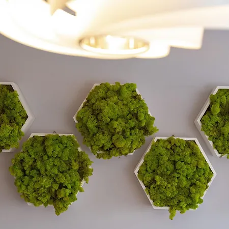 Comfortable Krakowska With Free Parking By Renters * Wroclaw