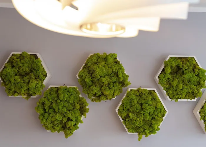 Comfortable Krakowska With Free Parking By Renters * Wroclaw